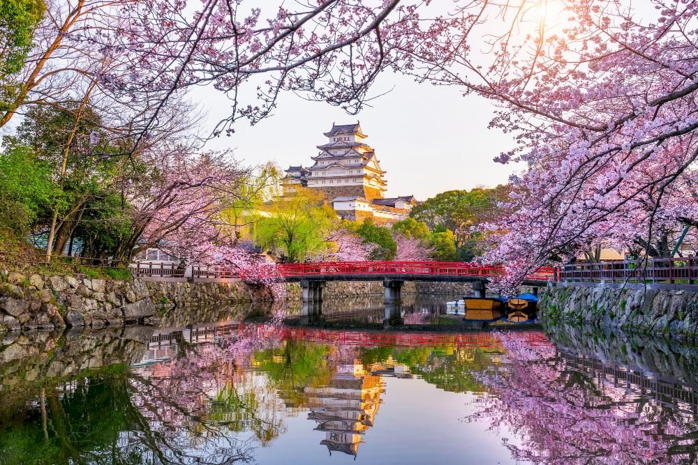The main keep is a six-story wooden structure and one of only a handful of castle keeps in Japan that feature wing buildings, adding complexity to its appearance (Source: Freepik)